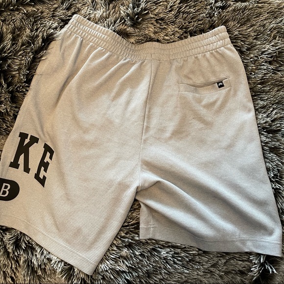 NIKE SB Dri Fit Shorts - Picture 2 of 5